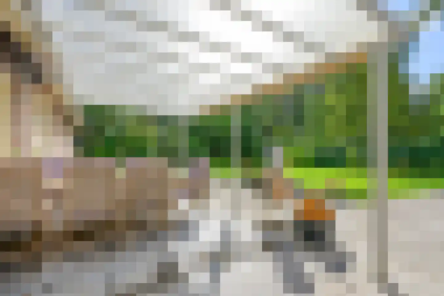 Koudelaan 14 A Lage Vuursche thumbnail 45