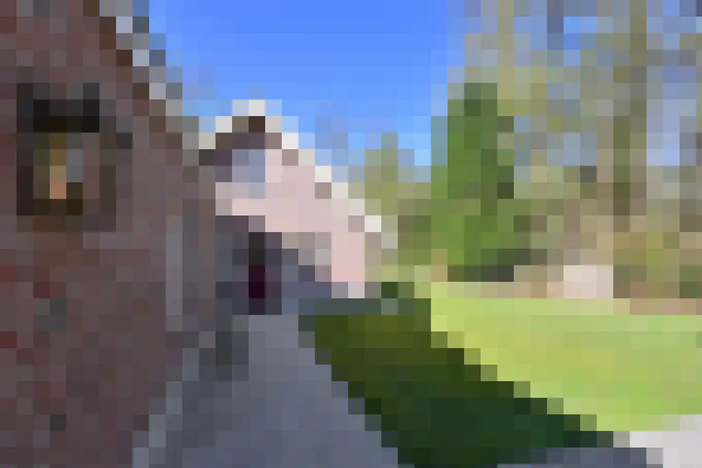 Koudelaan 14 A Lage Vuursche thumbnail 47