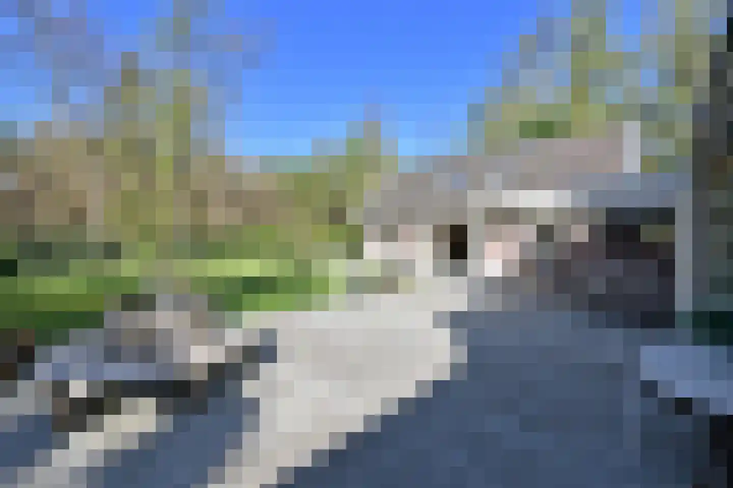 Koudelaan 14 A Lage Vuursche thumbnail 49