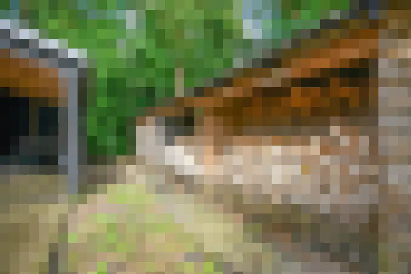Koudelaan 14 A Lage Vuursche thumbnail 49