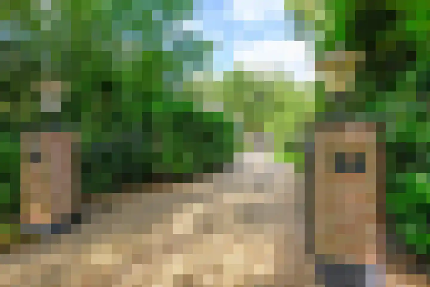 Koudelaan 14 A Lage Vuursche thumbnail 50