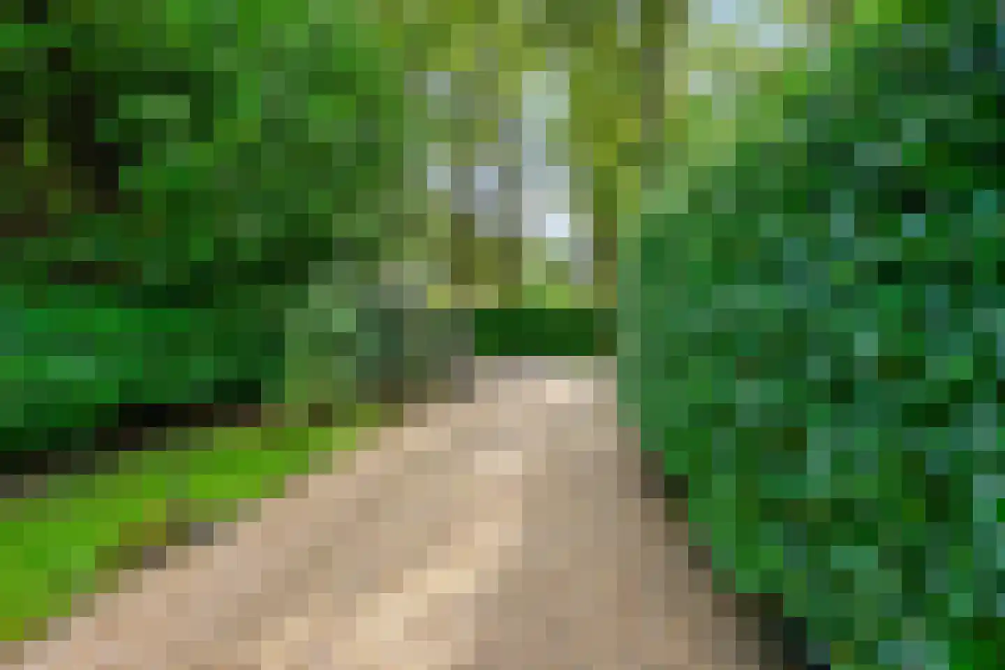 Koudelaan 14 A Lage Vuursche thumbnail 51