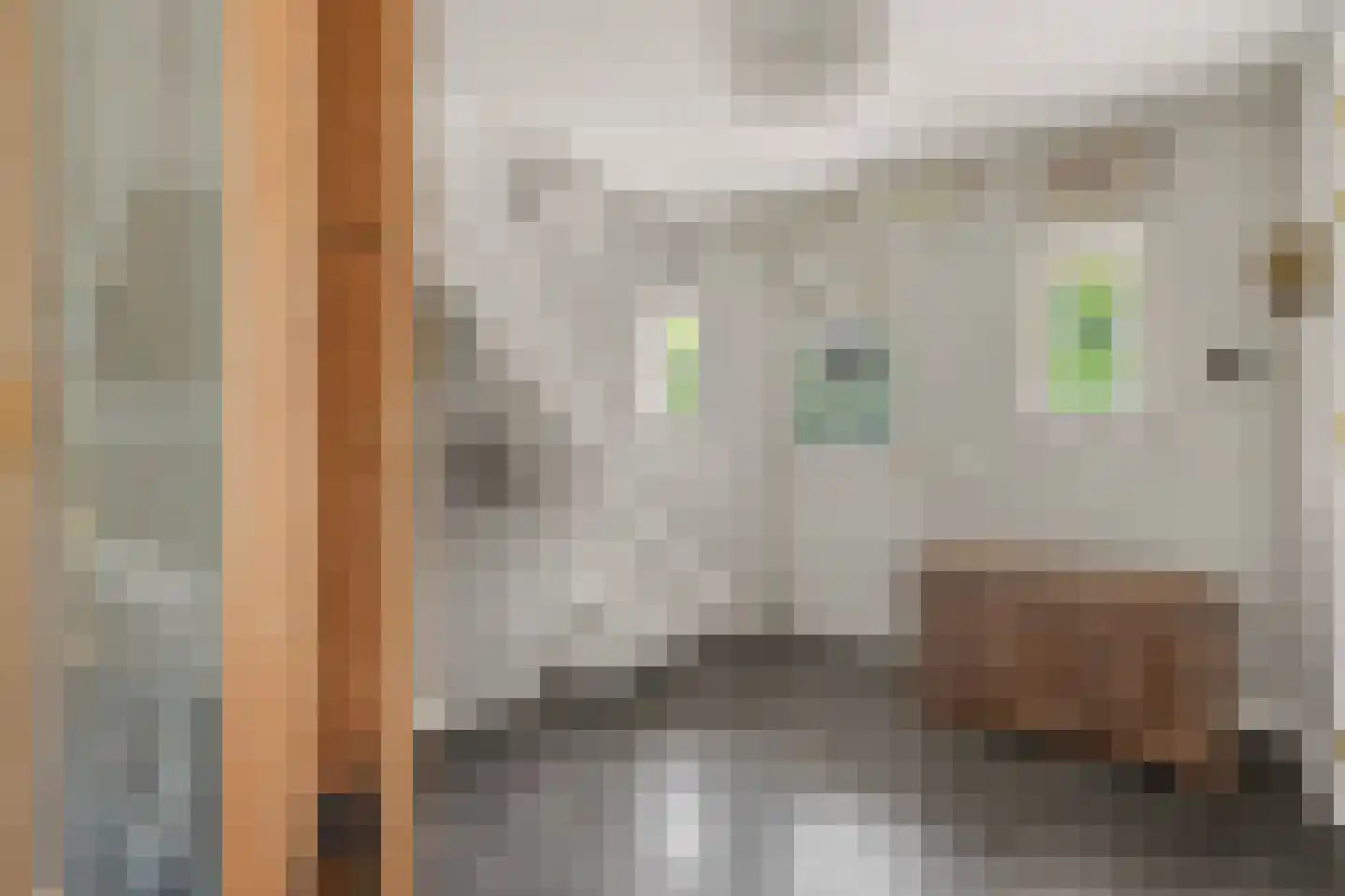 Koudelaan 14 A Lage Vuursche thumbnail 6