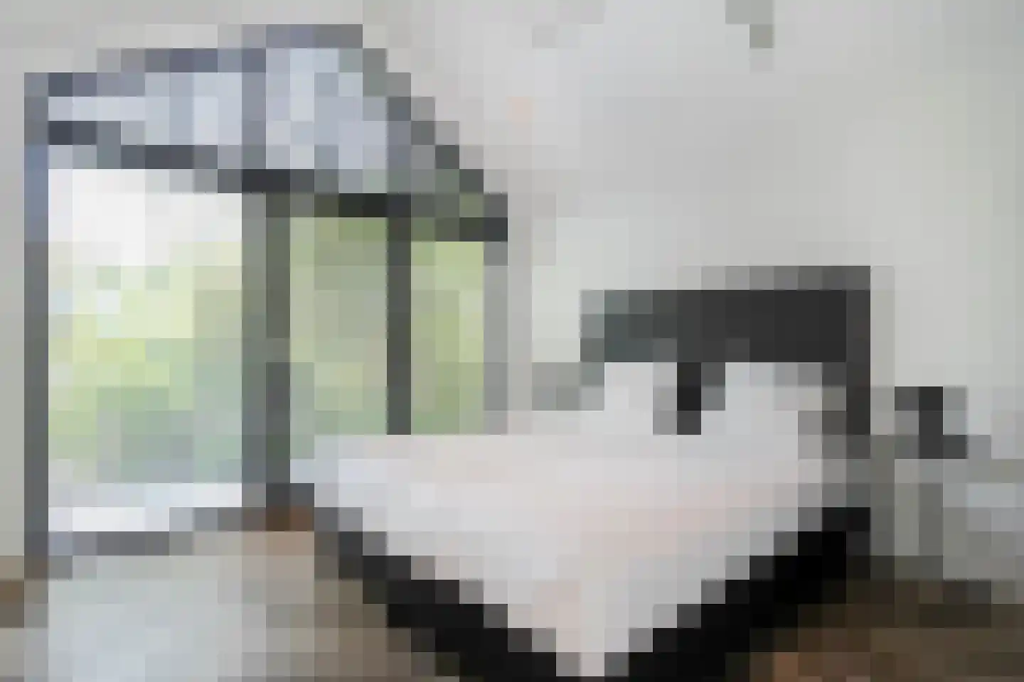 Koudelaan 14 B Lage Vuursche thumbnail 10