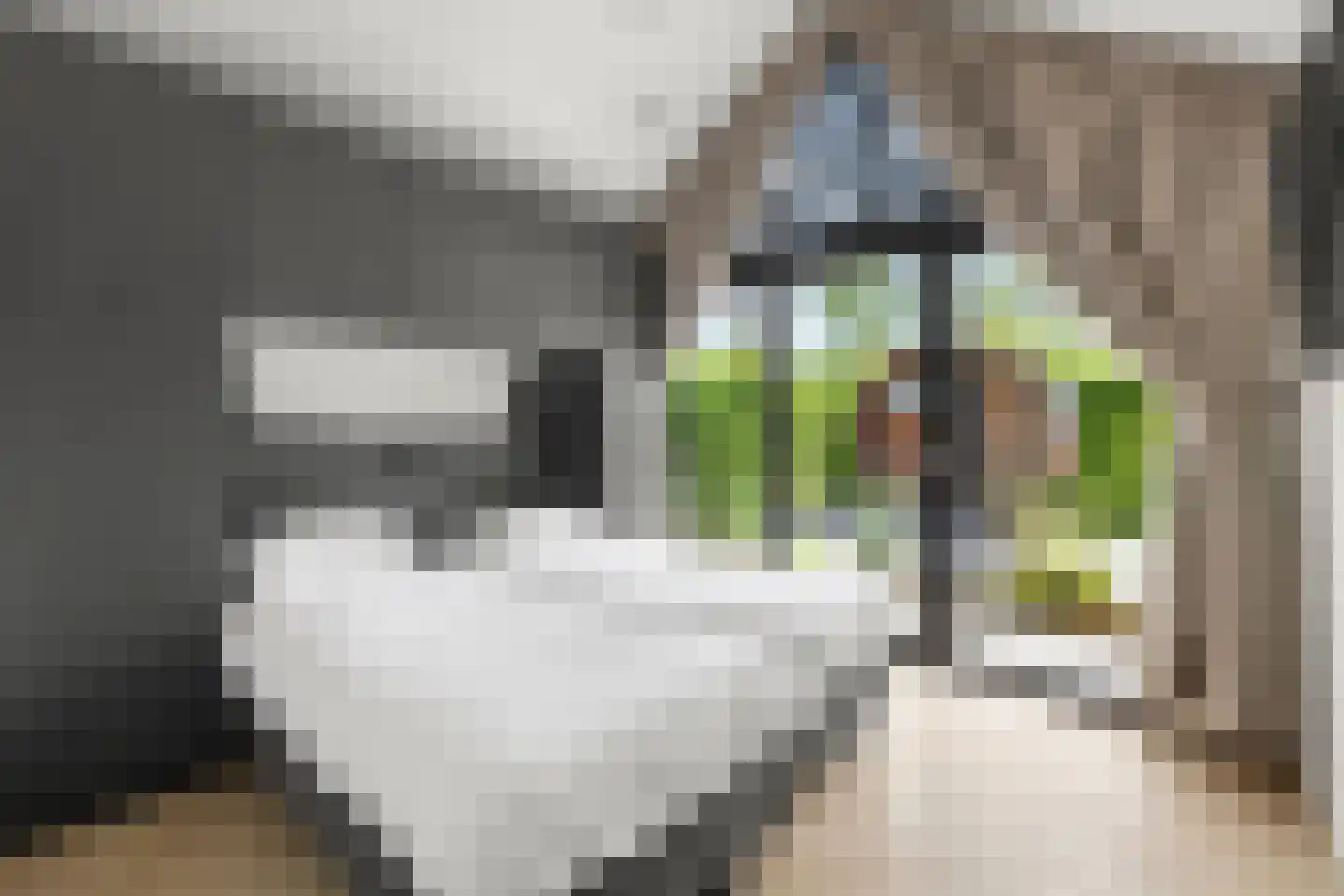 Koudelaan 14 B Lage Vuursche thumbnail 14