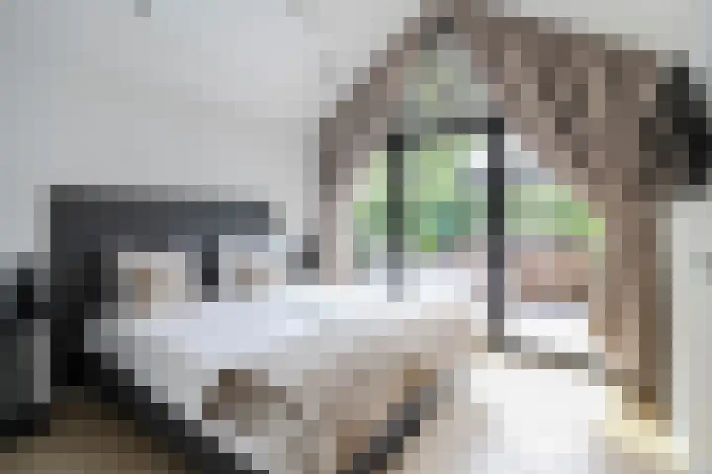 Koudelaan 14 B Lage Vuursche thumbnail 17