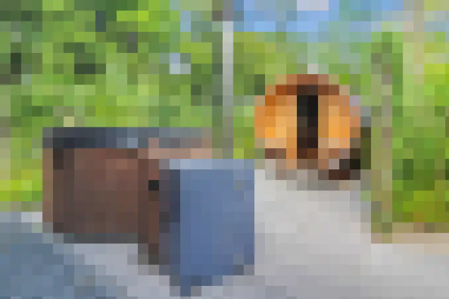 Koudelaan 14 B Lage Vuursche thumbnail 17