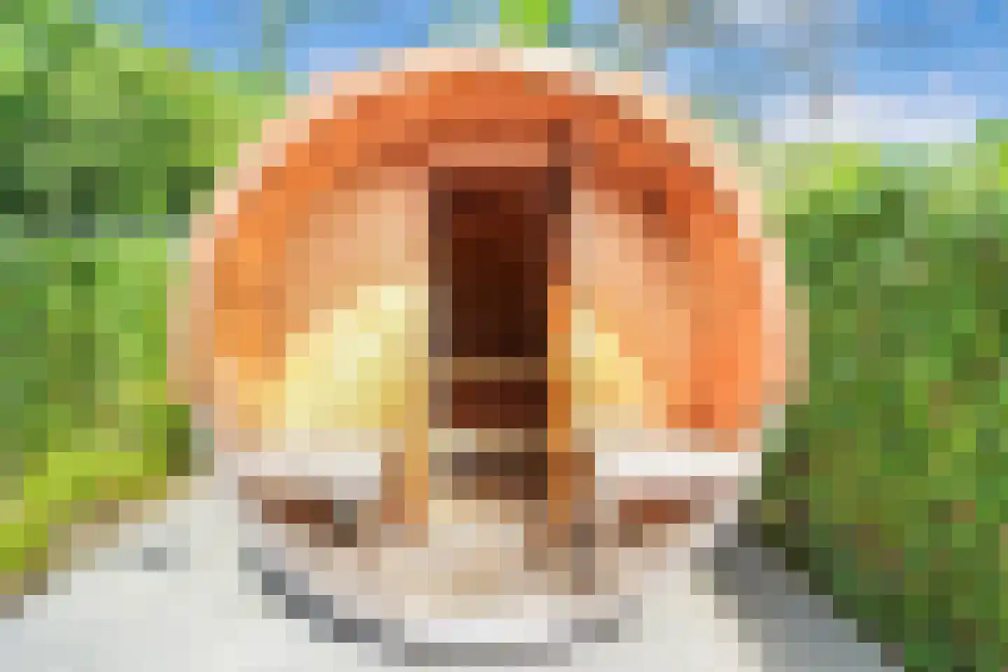 Koudelaan 14 B Lage Vuursche thumbnail 18