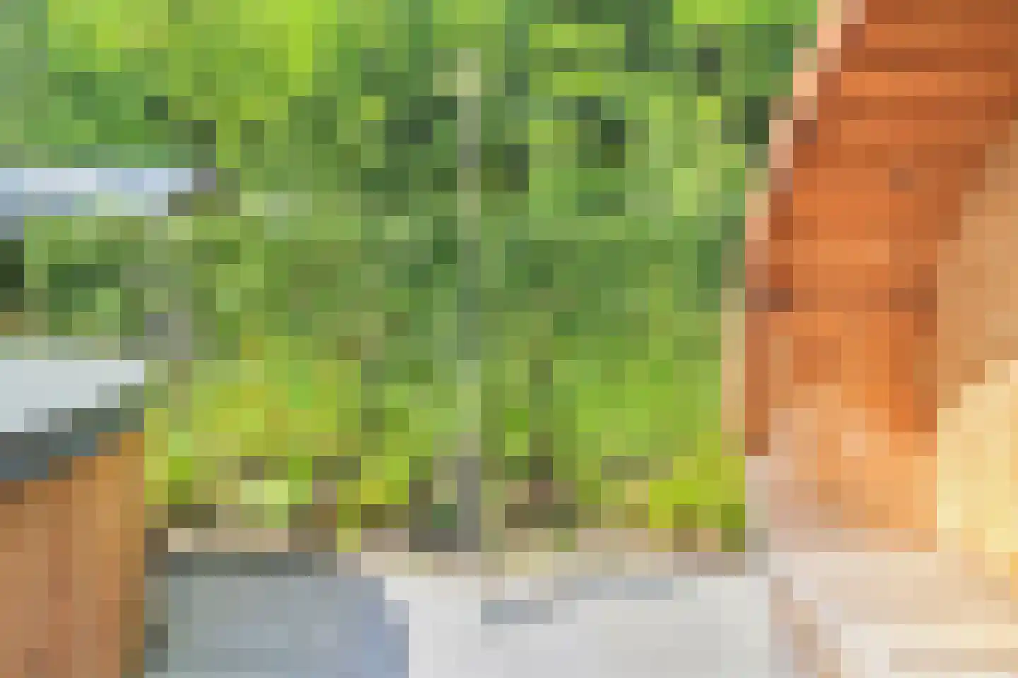 Koudelaan 14 B Lage Vuursche thumbnail 19