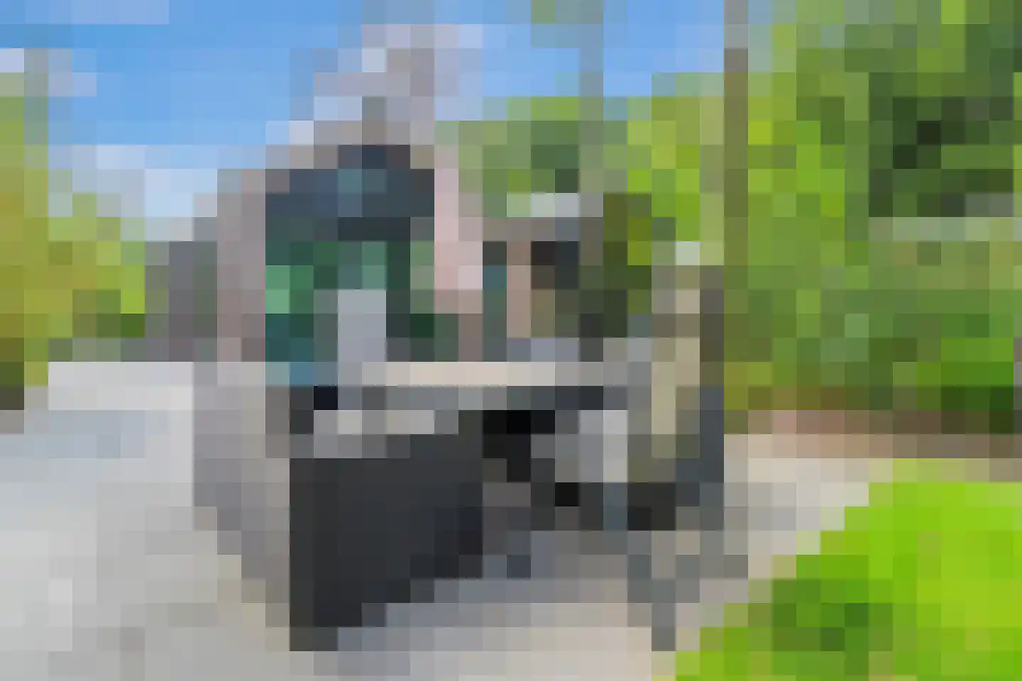 Koudelaan 14 B Lage Vuursche thumbnail 21