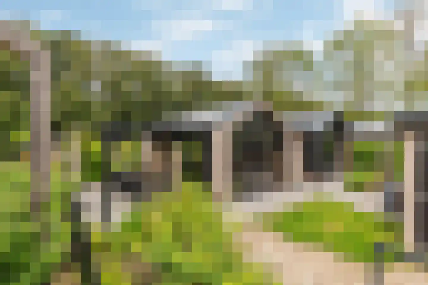 Koudelaan 14 B Lage Vuursche thumbnail 22