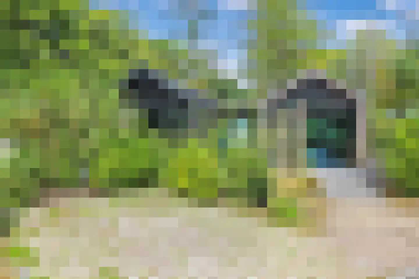 Koudelaan 14 B Lage Vuursche thumbnail 23