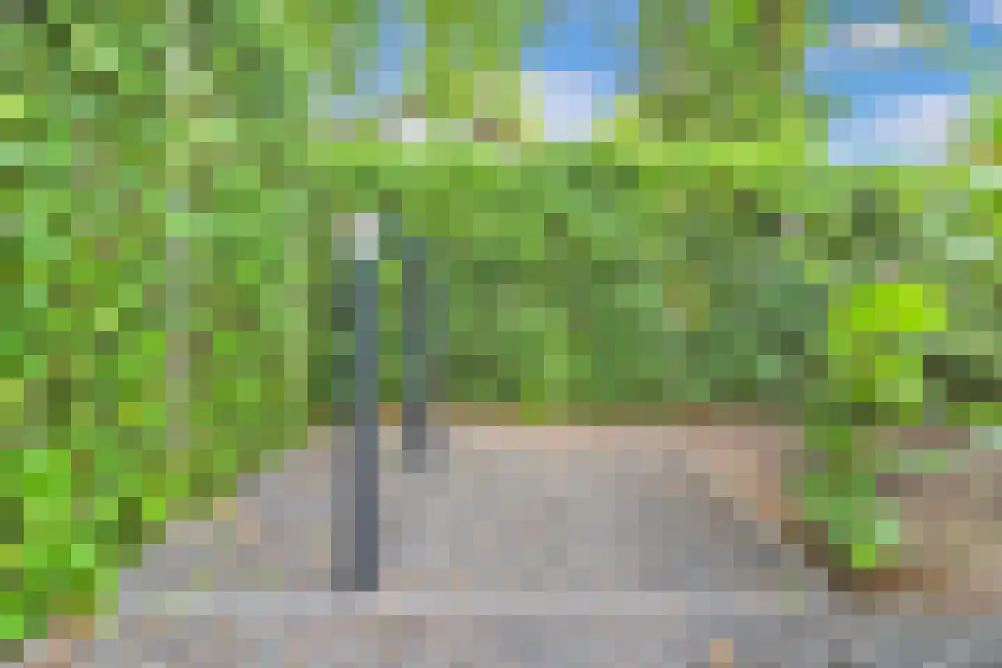 Koudelaan 14 B Lage Vuursche thumbnail 25
