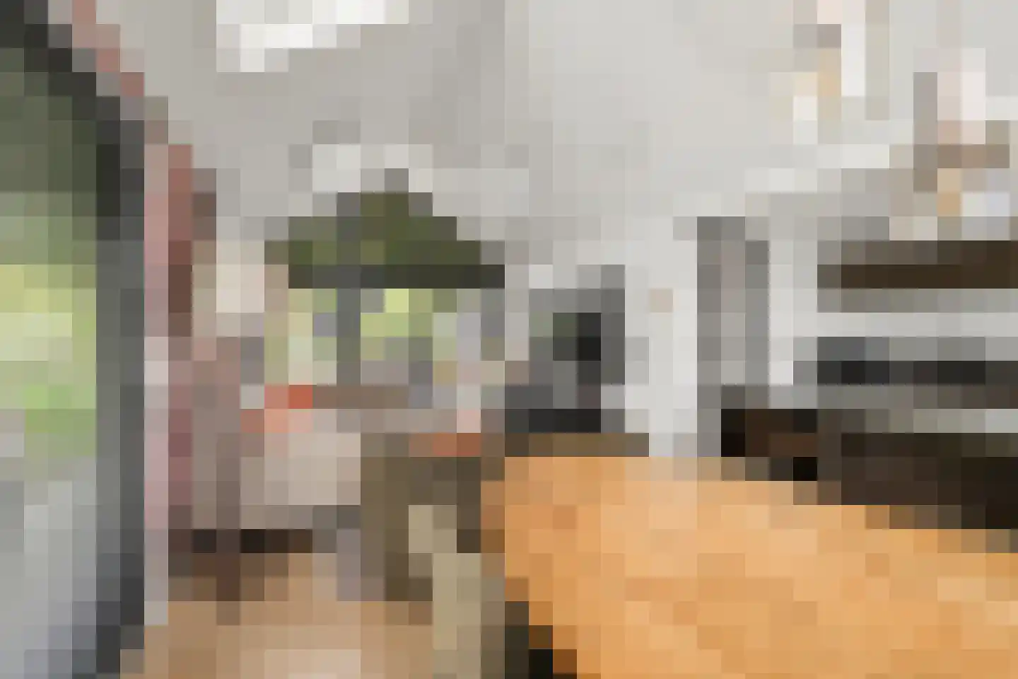 Koudelaan 14 B Lage Vuursche thumbnail 6
