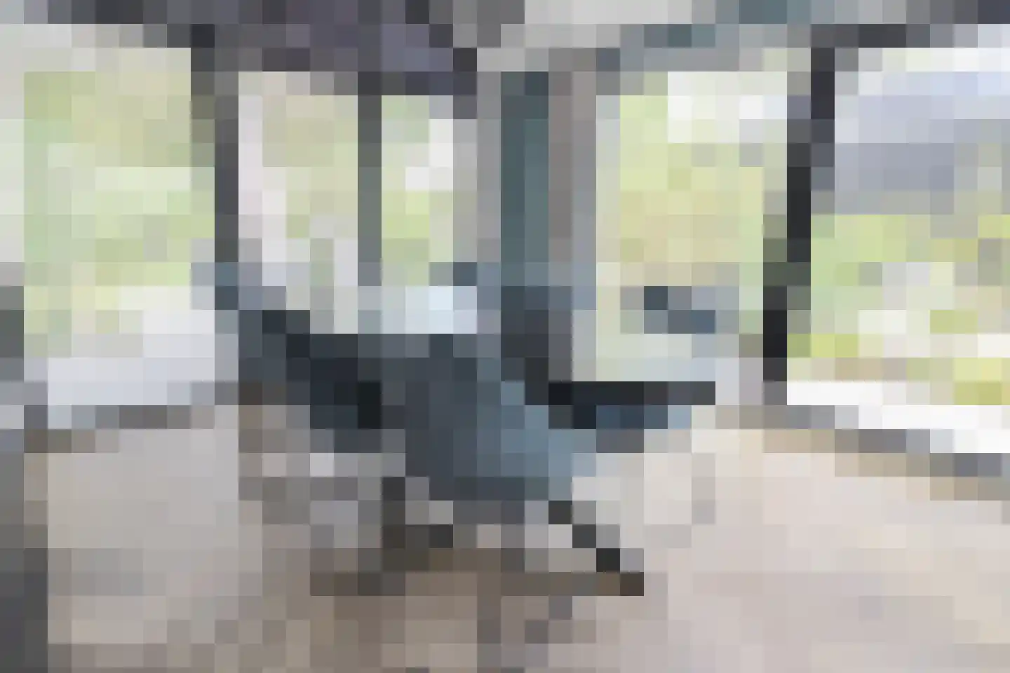 Koudelaan 14 B Lage Vuursche thumbnail 8