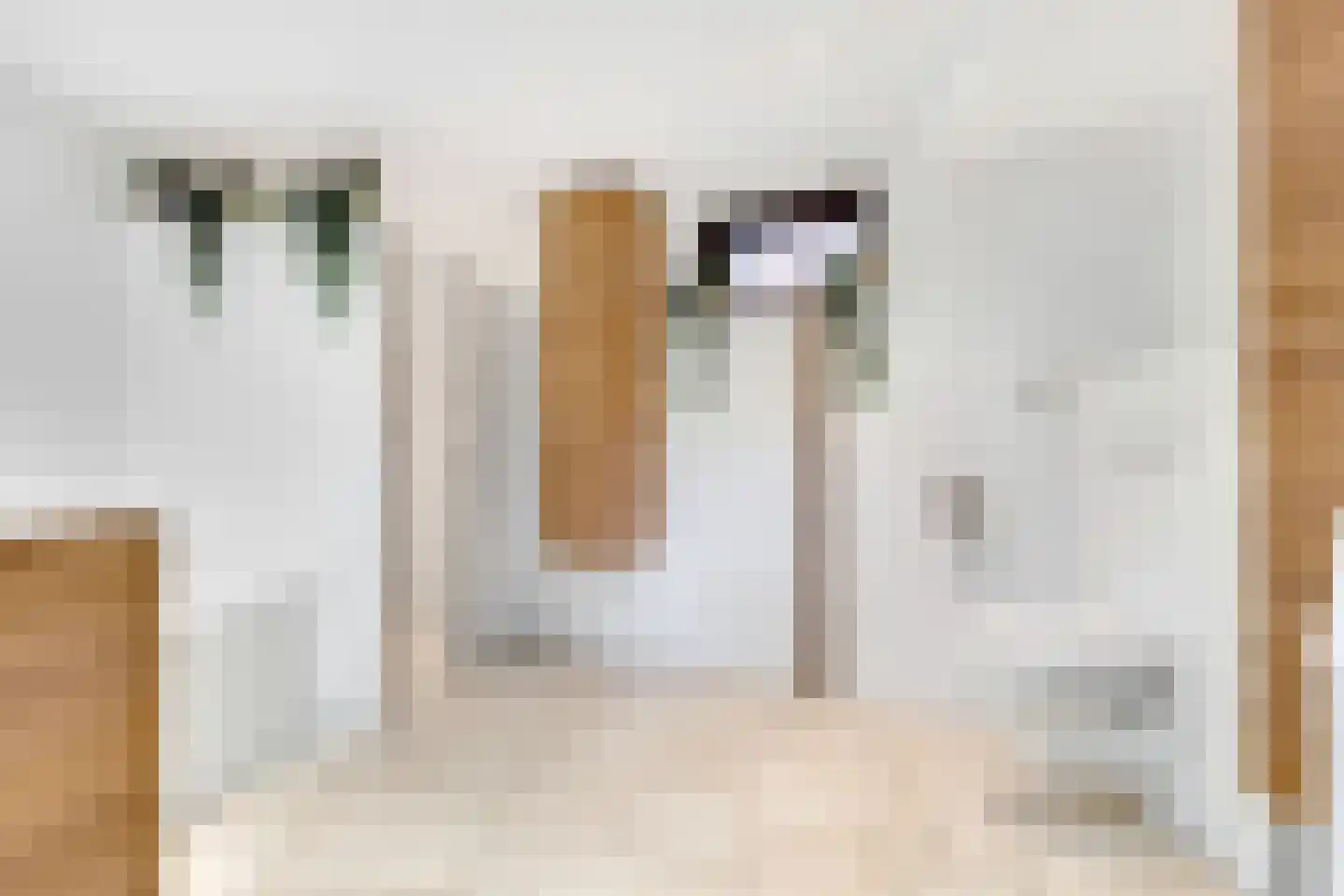 Koudelaan 15 Bilthoven thumbnail 27