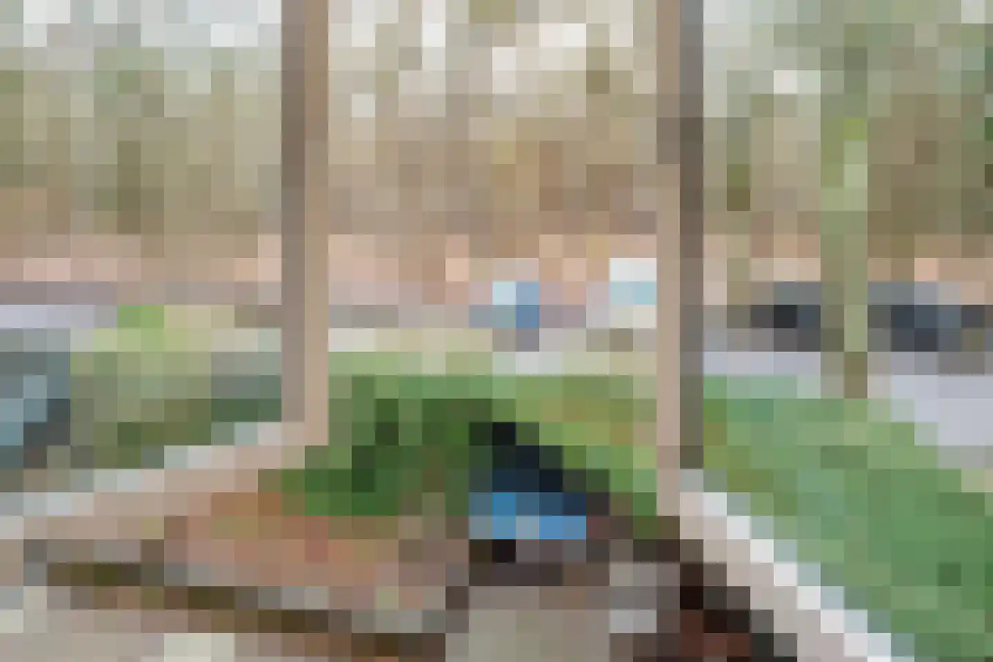 Koudelaan 15 Bilthoven thumbnail 39