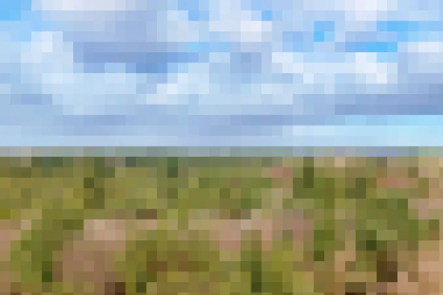 Koudelaan 15 Bilthoven thumbnail 49