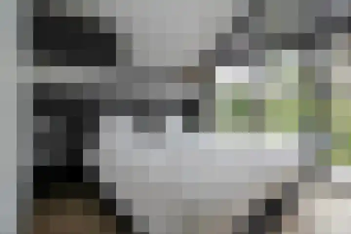 Koudelaan 25 D 12 Bilthoven thumbnail 15