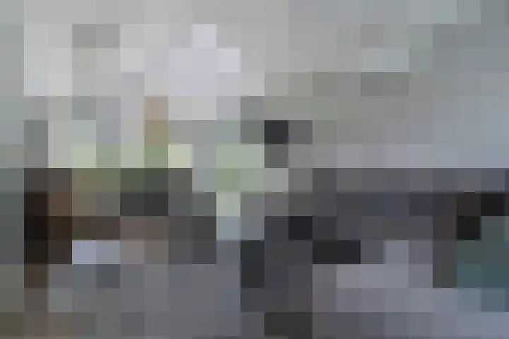 Koudelaan 25 D 12 Bilthoven thumbnail 5