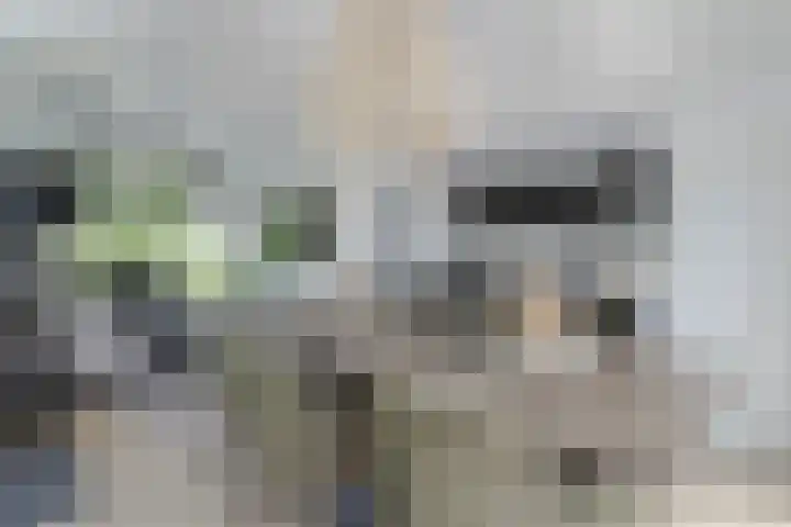 Koudelaan 25 D 12 Bilthoven thumbnail 9