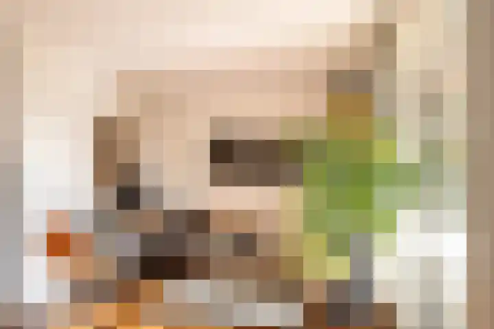 Koudelaan 3 Bilthoven thumbnail 10