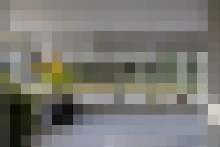 Koudelaan 3 Bilthoven thumbnail 14