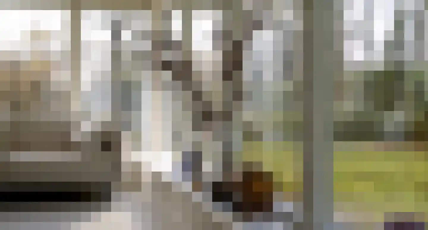 Koudelaan 3 Bilthoven thumbnail 17