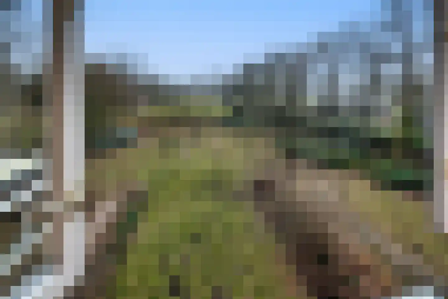 Koudelaan 3 Bilthoven thumbnail 25