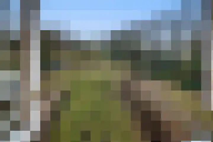 Koudelaan 3 Bilthoven thumbnail 25