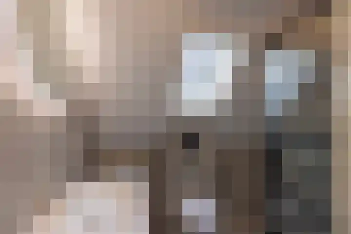 Koudelaan 3 Bilthoven thumbnail 31