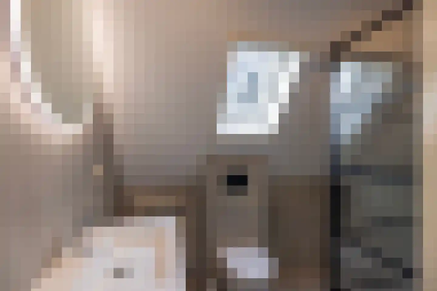 Koudelaan 3 Bilthoven thumbnail 31