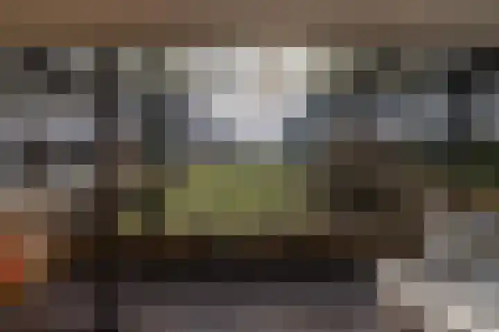 Koudelaan 3 Bilthoven thumbnail 40