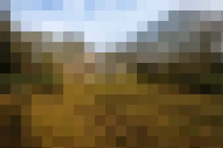 Koudelaan 3 Bilthoven thumbnail 41