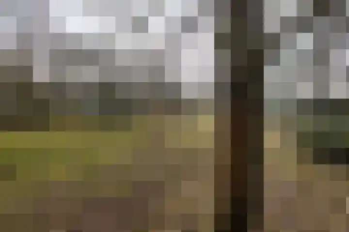 Koudelaan 3 Bilthoven thumbnail 42