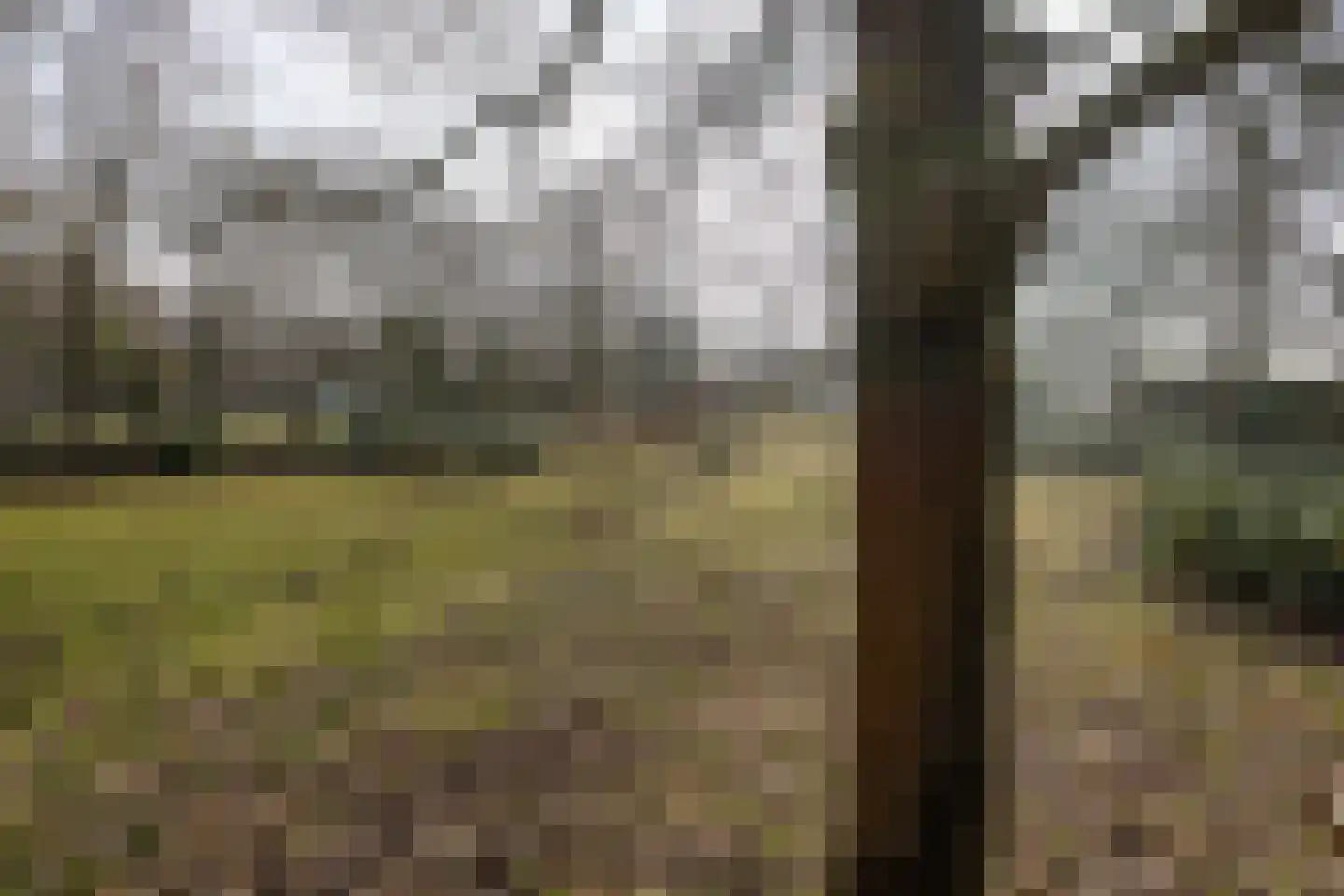 Koudelaan 3 Bilthoven thumbnail 42
