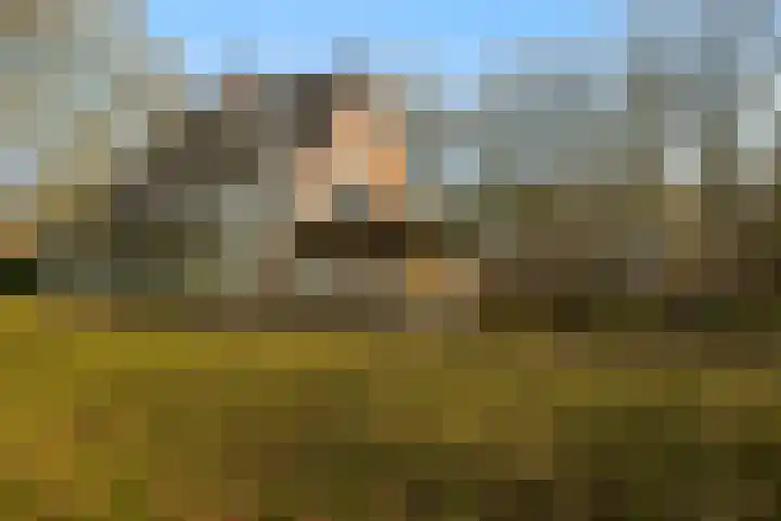 Koudelaan 3 Bilthoven thumbnail 43