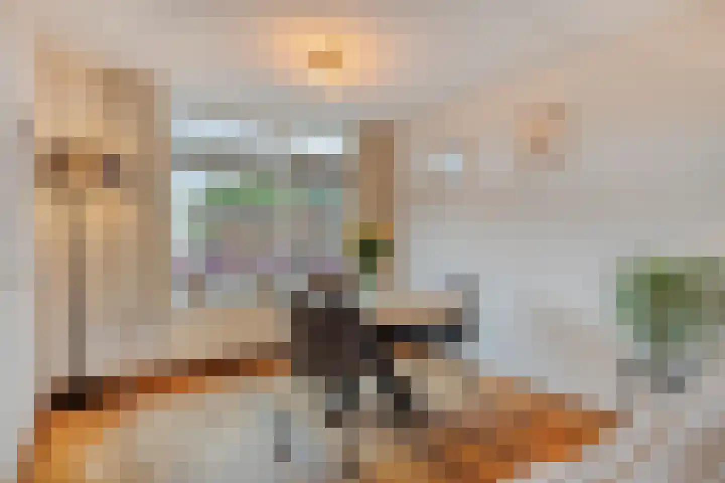Koudenberg 21 Steenbergen thumbnail 13