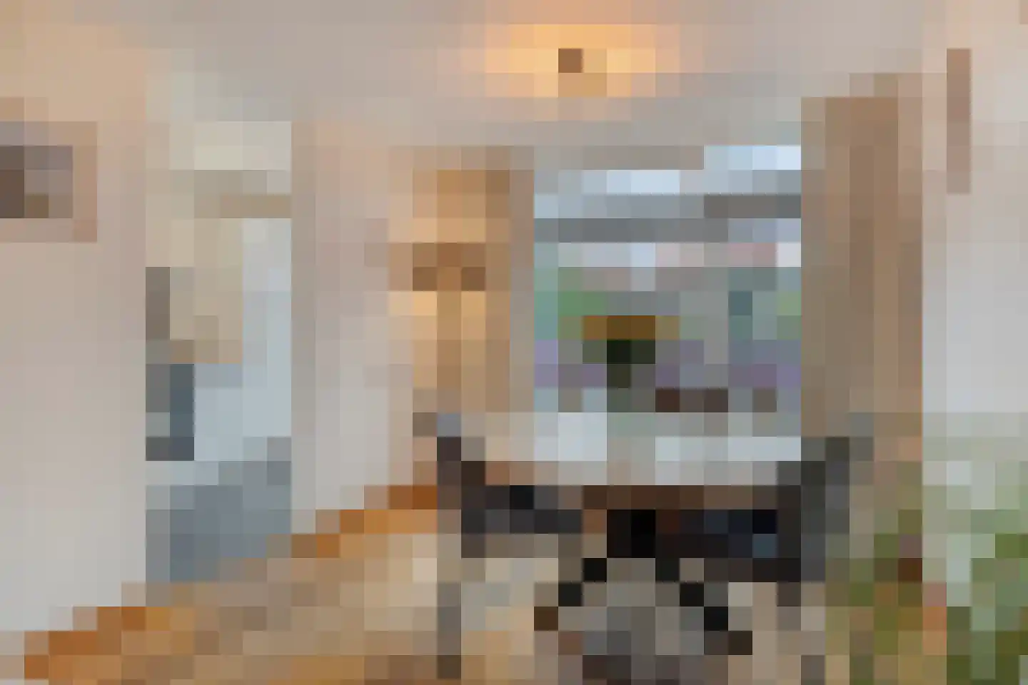 Koudenberg 21 Steenbergen thumbnail 14