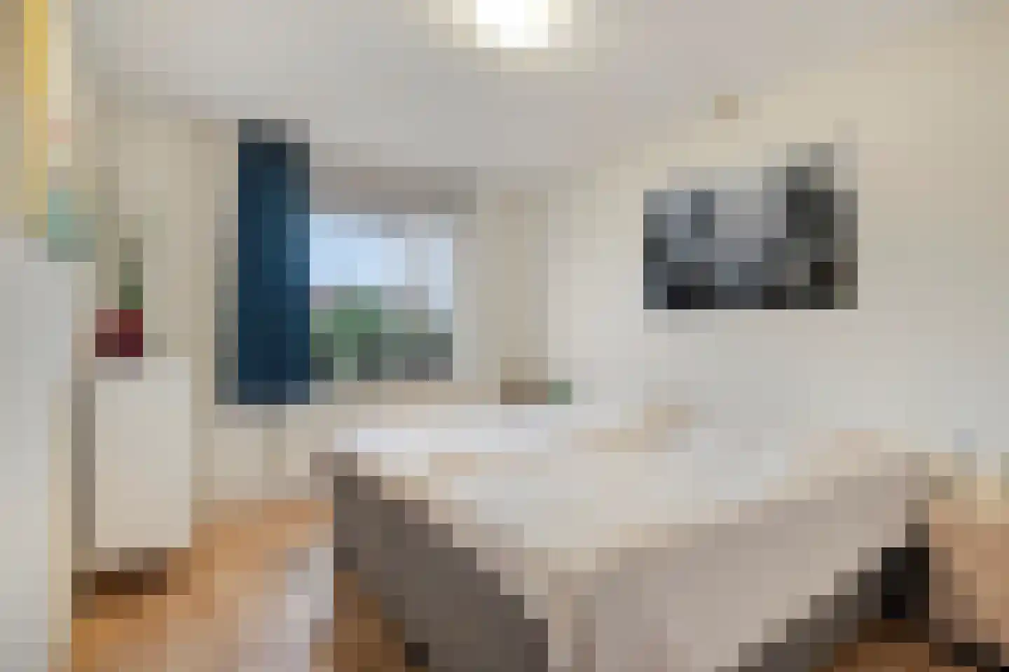 Koudenberg 21 Steenbergen thumbnail 20