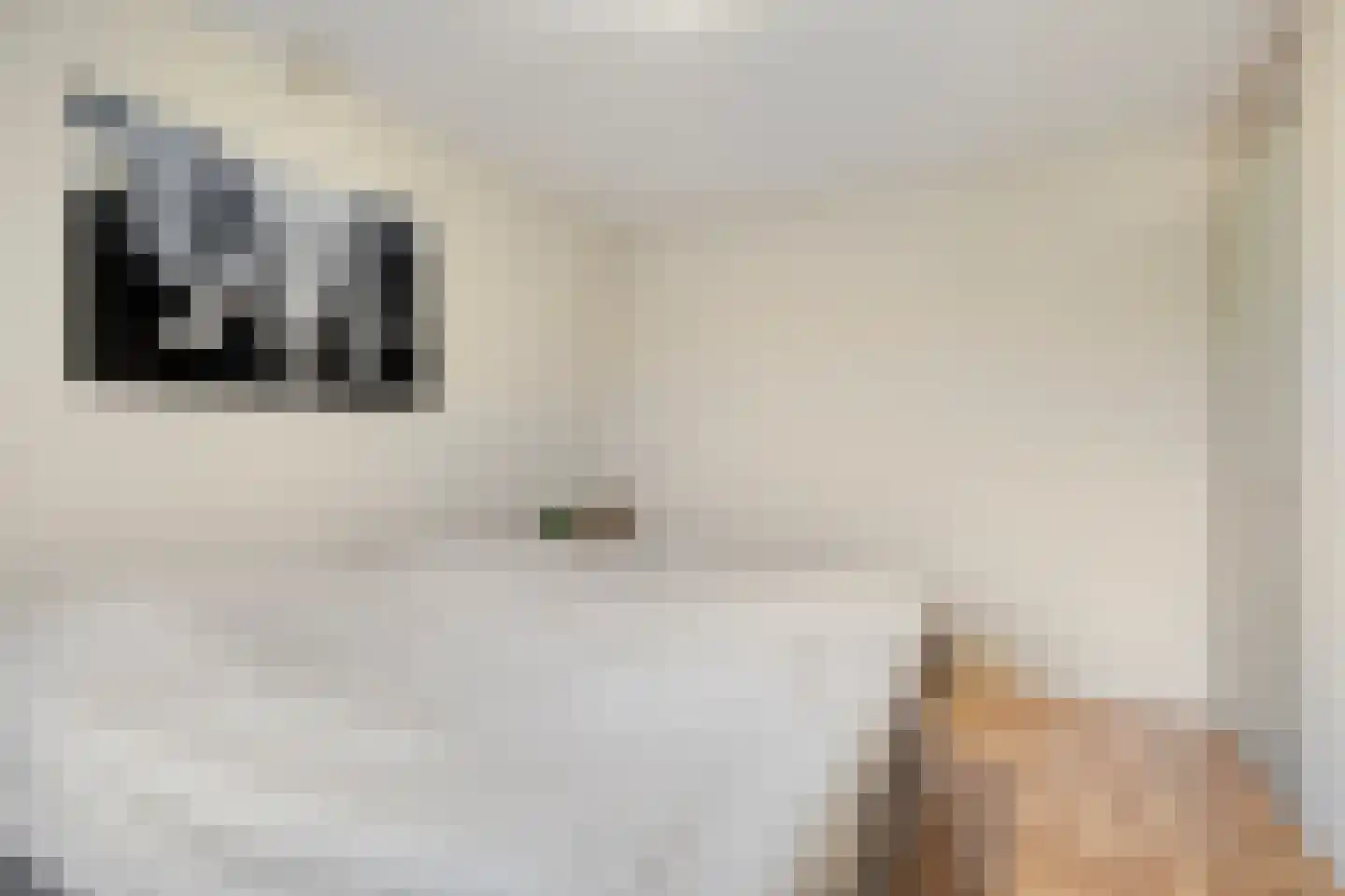 Koudenberg 21 Steenbergen thumbnail 21