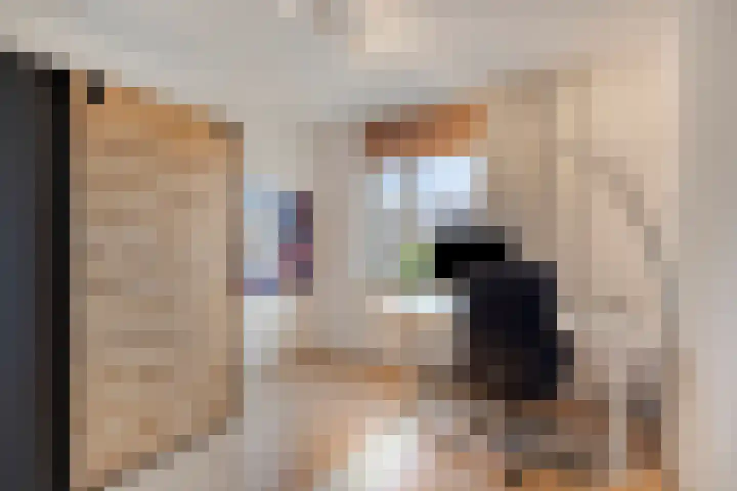 Koudenberg 21 Steenbergen thumbnail 22