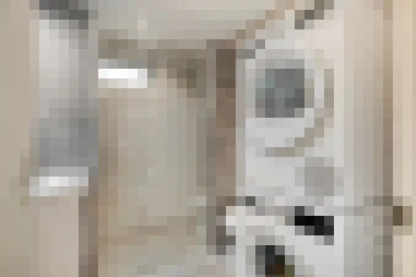 Koudenberg 21 Steenbergen thumbnail 24