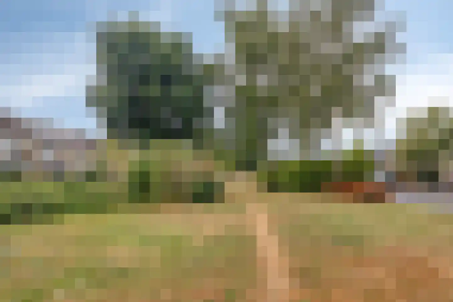 Koudenberg 21 Steenbergen thumbnail 32