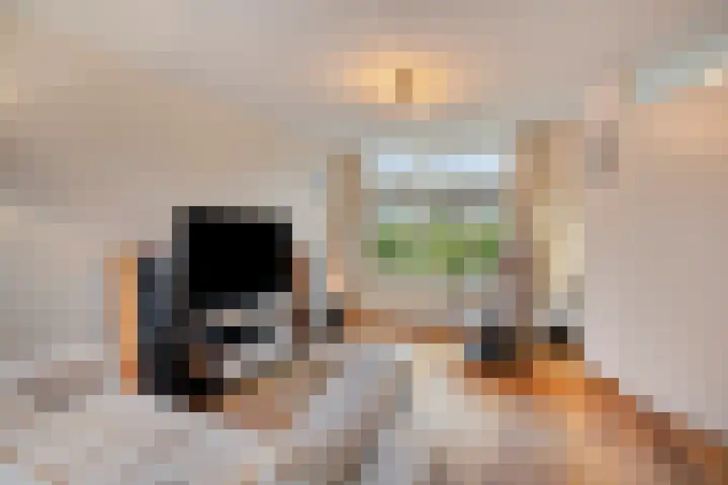 Koudenberg 21 Steenbergen thumbnail 8