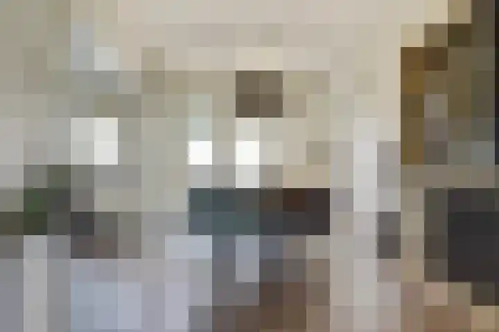 Koudenberg 33 Steenbergen thumbnail 16