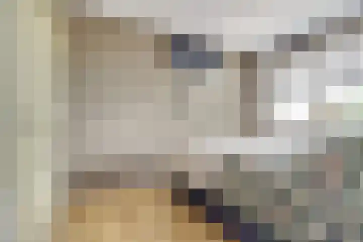 Koudenberg 33 Steenbergen thumbnail 21