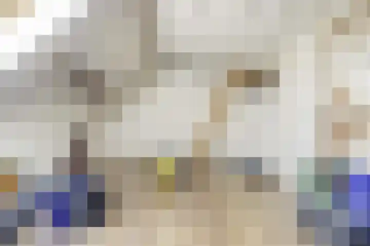 Koudenberg 33 Steenbergen thumbnail 31