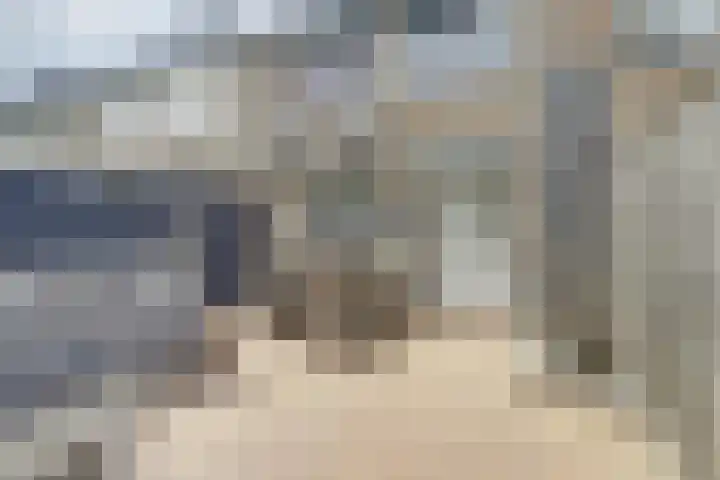 Koudenberg 33 Steenbergen thumbnail 33