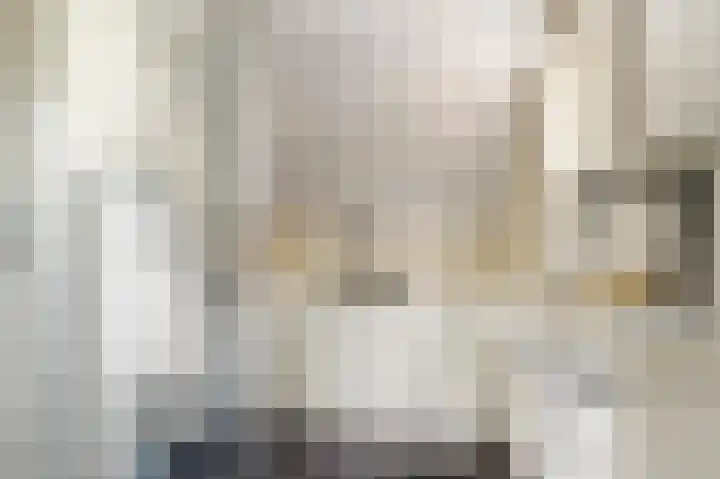 Koudenberg 33 Steenbergen thumbnail 4